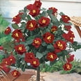 thumbnail image 2 of Ketchup & Mustard Dormant Bare Root Floribunda 24IN Tree Form Rose, 1-Pack, 2 of 4