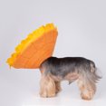 thumbnail image 4 of Flmtop Pets Circle Sunflower Design Anti-licking Polyester Protective Cats Collar for Kitten, 4 of 9