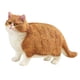 thumbnail image 4 of 5 Figuras de Gato, Juego de Juguetes, Figuras de , Juguete, Adorno de Escritorio, Figura de Gato Simulada para Balcón, Juguete para Niños, Fiest 6 piezas, 4 of 8