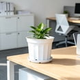 thumbnail image 4 of 9 Inch Flower Pot 1-Pack, Plastic Planter with Drainage Hole & Tray, Indoor Outdoor Plant Pot for House Plants, Garden, Patio, Office, Home Decor – Modern Decorative Plant Container (White), 4 of 6