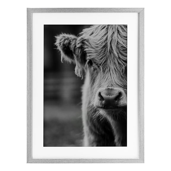 Stupell Industries Farmhouse Baby Cow Face Gray Framed Print Under Glass, 14 x 20, by Amy Carroll
