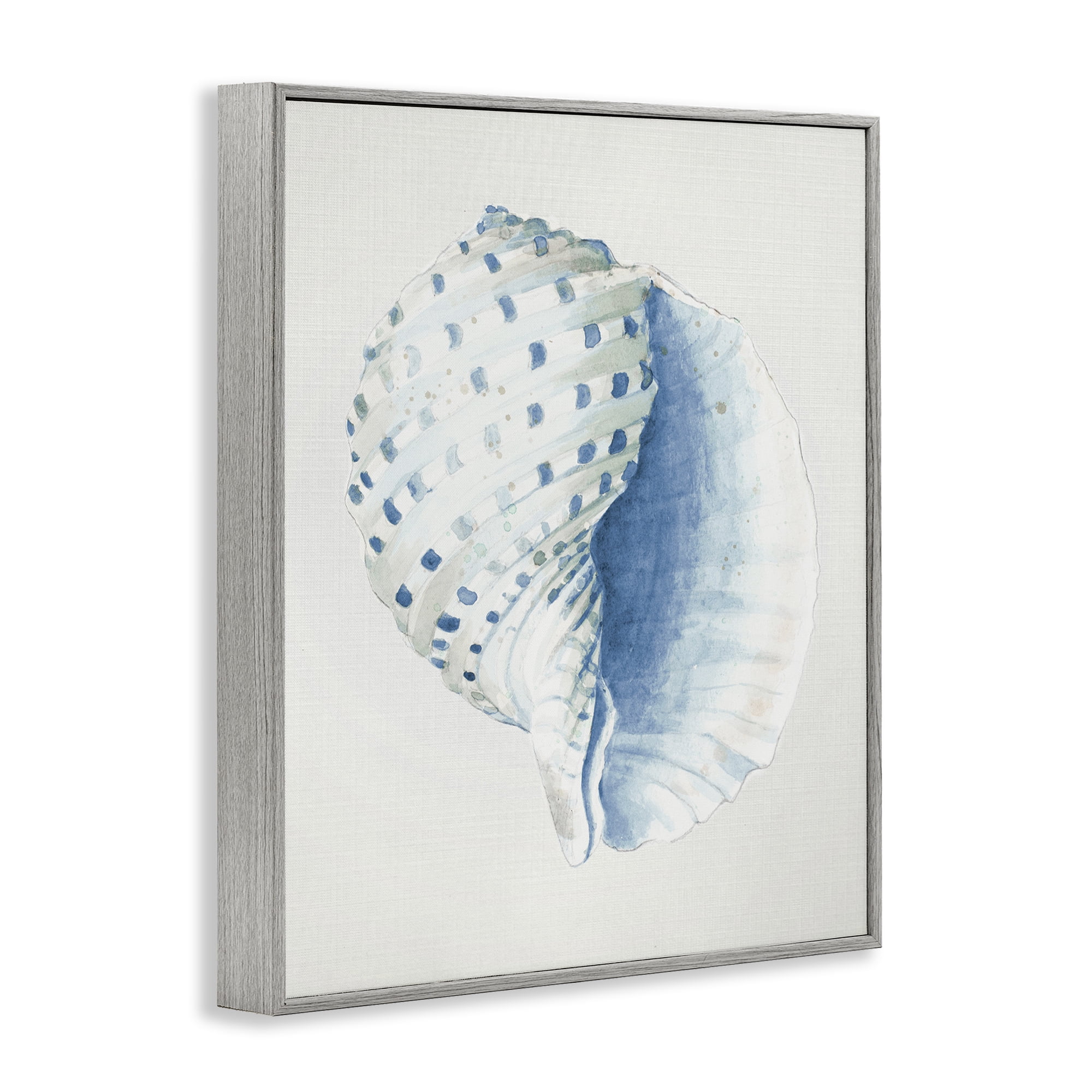 Stupell Industries Spotted Conch Shell Animals & Insects Painting Gray Framed Art Print Wall Art, 24 x 30
