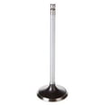 thumbnail image 2 of Melling Engine Intake Valve P/N:V2006 Fits select: 2012-2018 FORD FOCUS, 2006-2020 FORD FUSION, 2 of 2