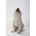 thumbnail image 1 of STATUE de Chiot Loup Hurlant, 1 of 4