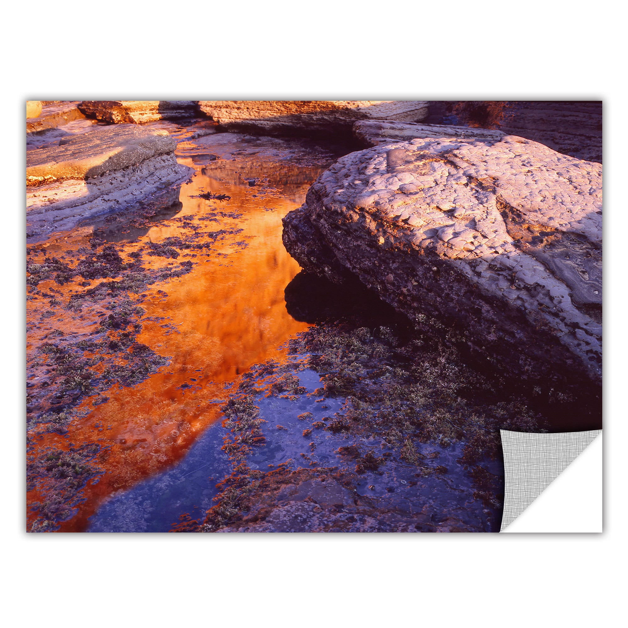 Artapeelz Dean Uhlinger "Sunset Cliffs Reflection" Removable Wall Art Graphic