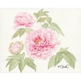 thumbnail image 3 of Sherrill, Kate 24x20 Black Modern Framed Museum Art Print Titled - Garden Blush, 3 of 5