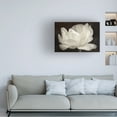 thumbnail image 2 of Trademark Fine Art 'White Tulip III' Canvas Art by Cora Niele, 2 of 4