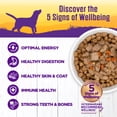 thumbnail image 3 of Wellness Complete Health Stew Adult Canned Wet Dog Food, Grain Free, Natural, Lamb and Beef Recipe, 12.5 oz, Pack of 12 Cans, 3 of 7