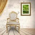 thumbnail image 3 of OBrien, Jay 23x32 Gold Ornate Wood Framed with Double Matting Museum Art Print Titled - Skyline Drive Shenandoah NP, USA, 3 of 4