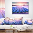 thumbnail image 4 of Designart Field of Blooming Hyacinth Flowers - Abstract Throw Pillow - 12x20, 4 of 5