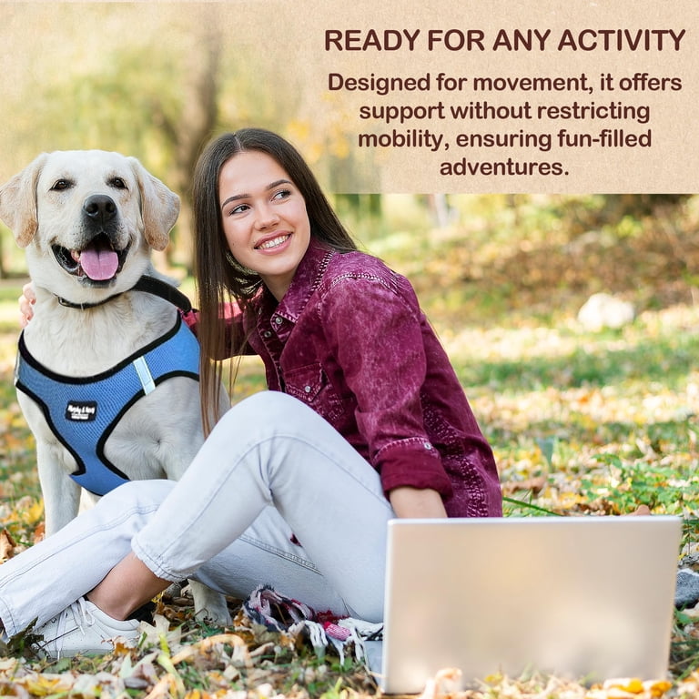 Azinoo No-Pull Dog Harness For Medium Dogs - Padded, Adjustable, Reflective Vest With 2 Leash Clips (Blue, Size M)