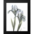 thumbnail image 2 of Koetsier, Albert 12x14 Black Modern Framed Museum Art Print Titled - Japanese Iris, 2 of 5