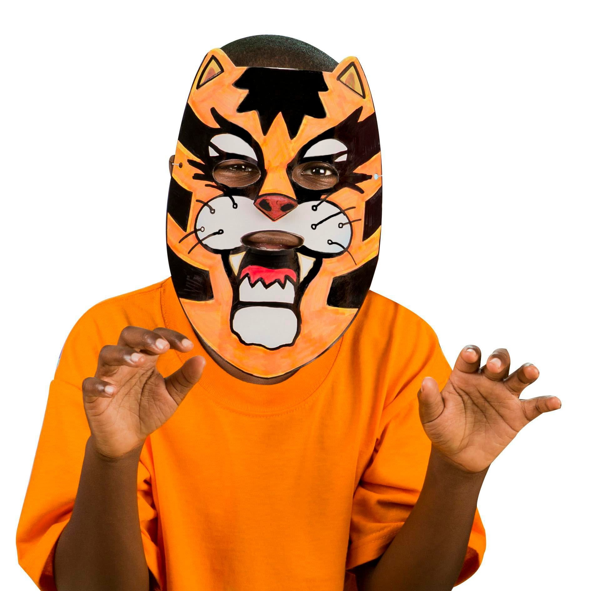 Animal Masks Craft Kit (Pack of 24)