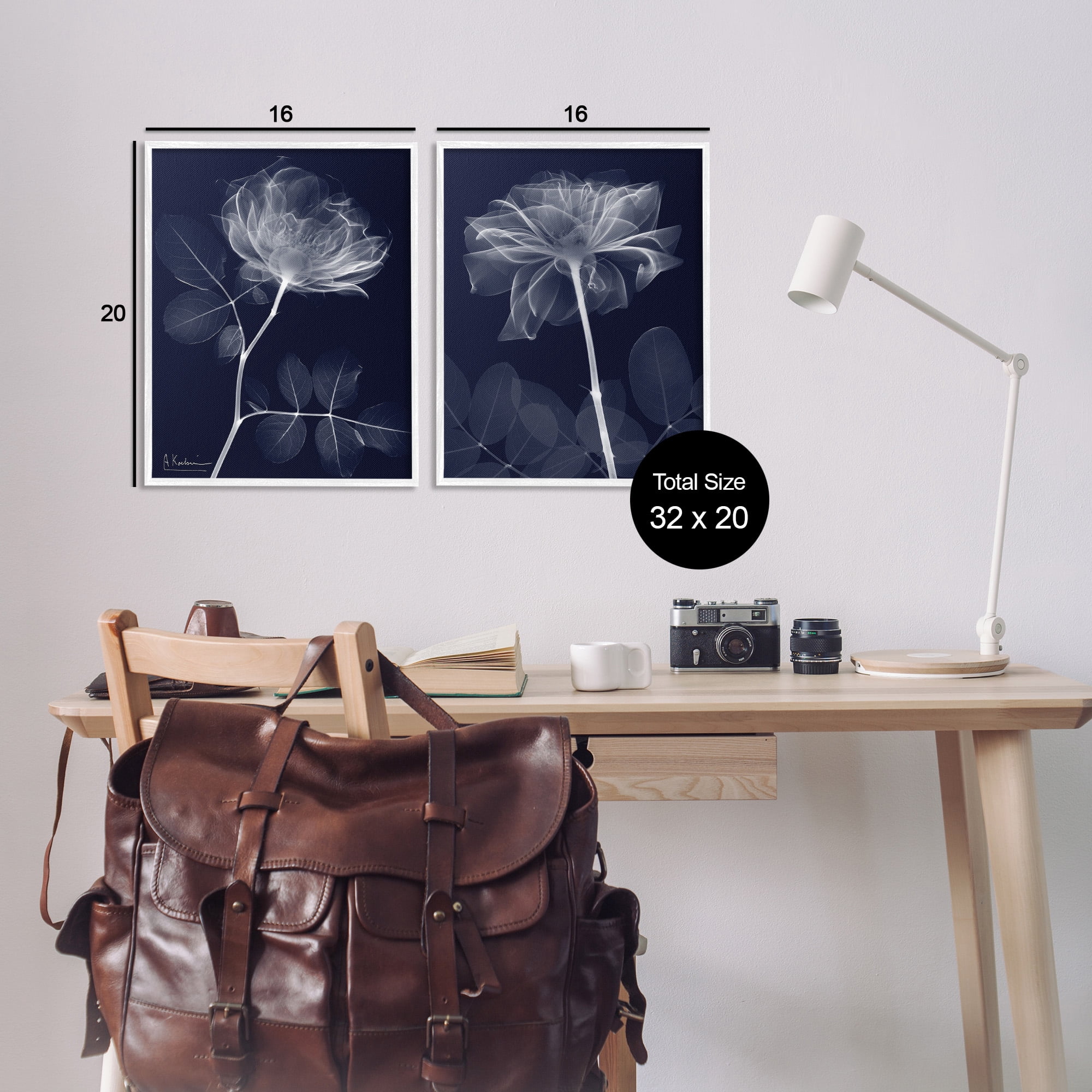 Stupell Industries X-Ray Blossom on Black Botanical & Floral Photography White Framed Art Print Wall Art, 16 x 20, Set of 2