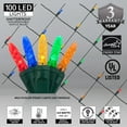 thumbnail image 3 of Wintergreen Lighting 4' x 6' Multi Color LED Outdoor Christmas Net Lights Set, 100 Lights, Green Wire, 3 of 5