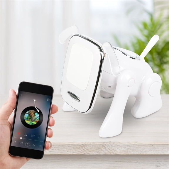 In The Portable Little Dog Wireless Speaker, There Is A Microphone and An FM Radio.