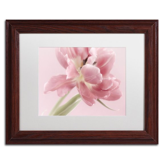 Trademark Fine Art 'Soft Pink Tulip' Canvas Art by Cora Niele, White Matte, Wood Frame