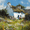 cottage, variant on Rustic Cottage Garden Oil Painting Canvas Print, Suitable for Living Room Bedroom Kitchen Dining Room Hallway Office