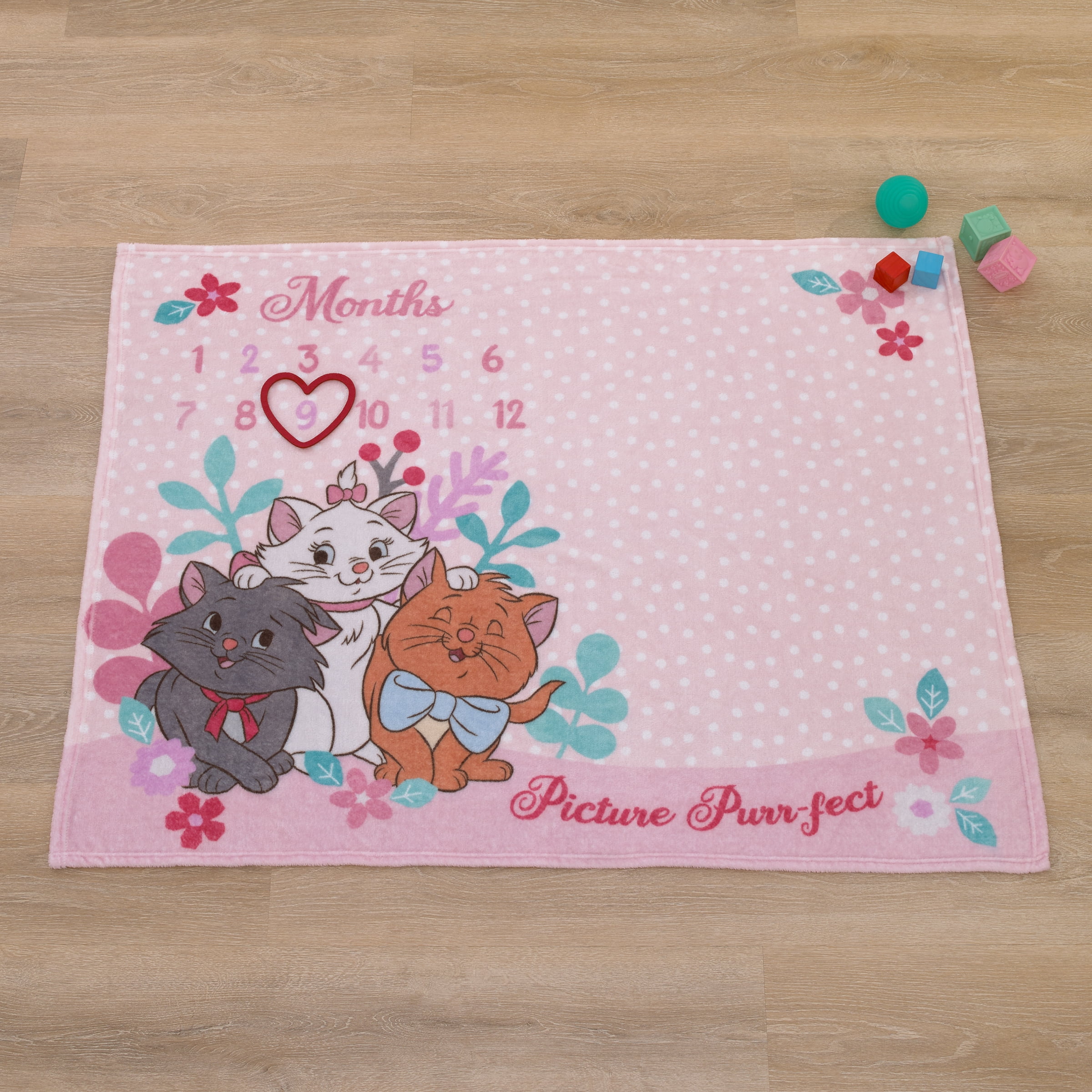 Disney Aristocats Photo Op Milestone Baby Blanket
