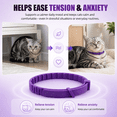 thumbnail image 5 of Cat Calming Collar 4 Pack, Adjustable Pheromone Calming Collars for Cats, Waterproof Anxiety Relief Collar for Stress, Breakaway Design, Fits Cats, Small Dogs and Puppies, ( Purple,Small), 5 of 10