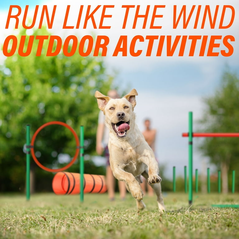 Dog agility gifts online