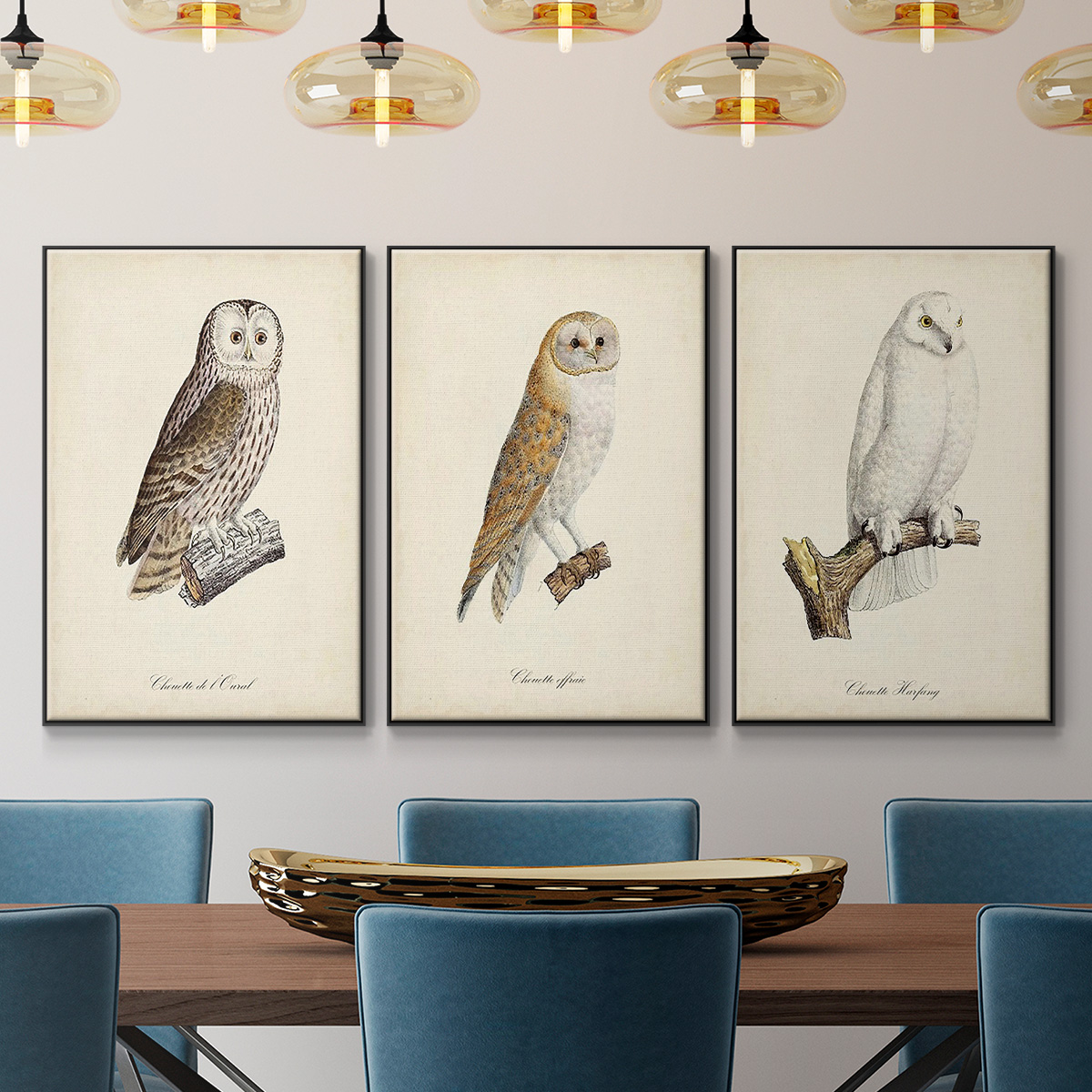 French Owls IV - Framed Premium Gallery Wrapped Canvas L Frame 3 Piece Set - Ready to Hang
