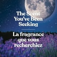 thumbnail image 4 of Yankee Candle Scented Candle, Midsummer's Night, 20 oz Signature Large Tumbler, 4 of 8