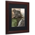 thumbnail image 3 of Trademark Fine Art "Cabela III" Canvas Art by Color Bakery Black Matte, Wood Frame, 3 of 4