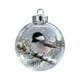 thumbnail image 2 of Herunwer Winter Birds Christmas Glass Bauble Collection, Nature’s Birds Crystal Glass Ornament, Cute Hummingbird Christmas Tree Ornaments, 2 of 6