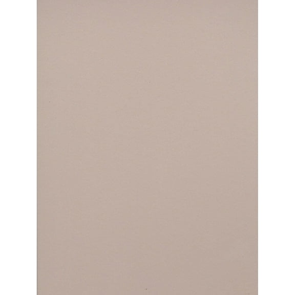Strathmore Museum Mounting Board Acid Free Photo Gray 2 Ply Each (134-321) 67325