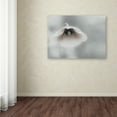 thumbnail image 3 of Piet Flour 'Ephemeral Beauty' Canvas Art, 3 of 3
