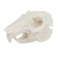 thumbnail image 1 of Decoración del acuario Decoración del rtuga Serpiente Conejo Gloria Figurilla de resina para acuario, 1 of 9