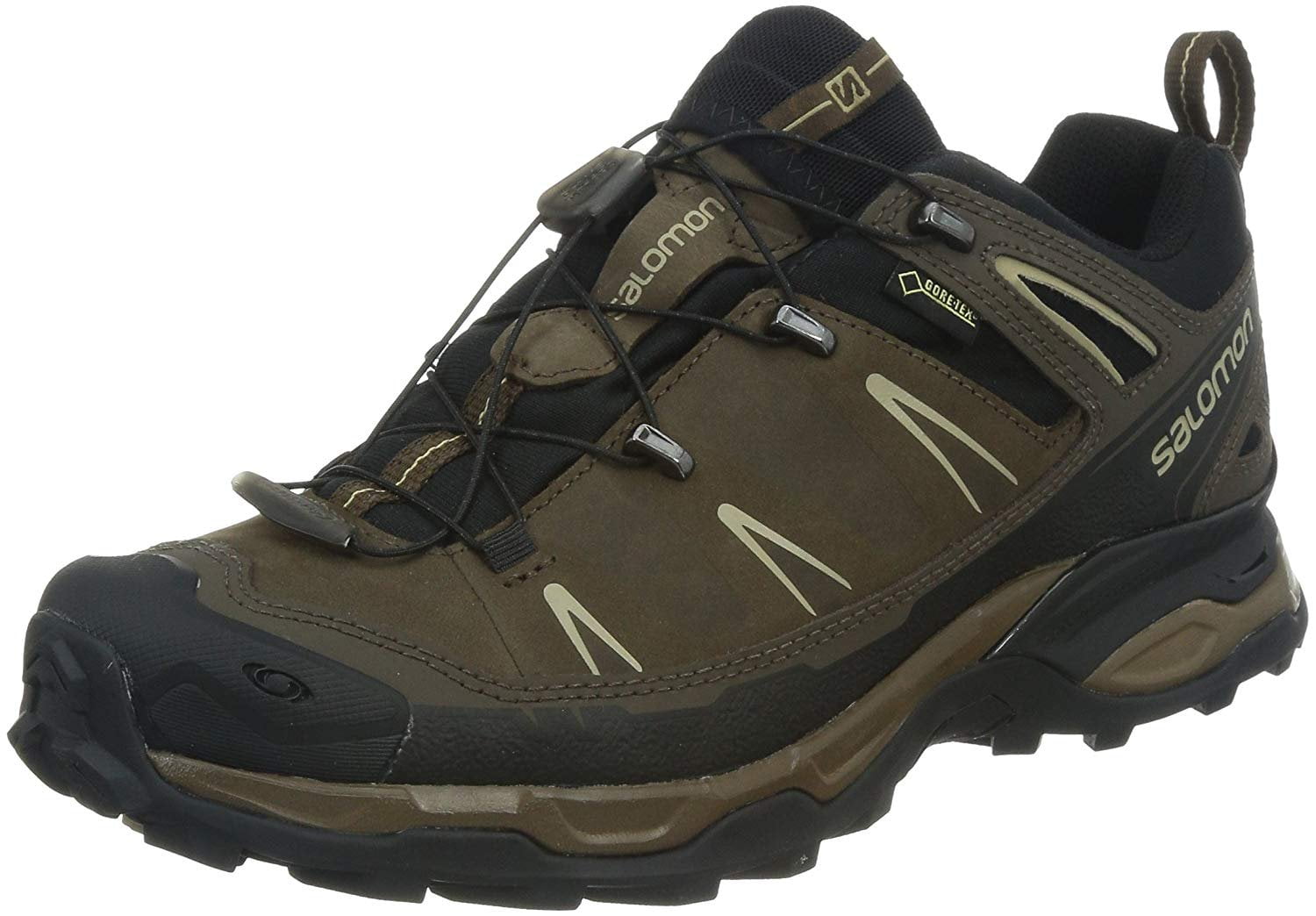 Salomon Men's X Ultra LTR GTX Hiking 