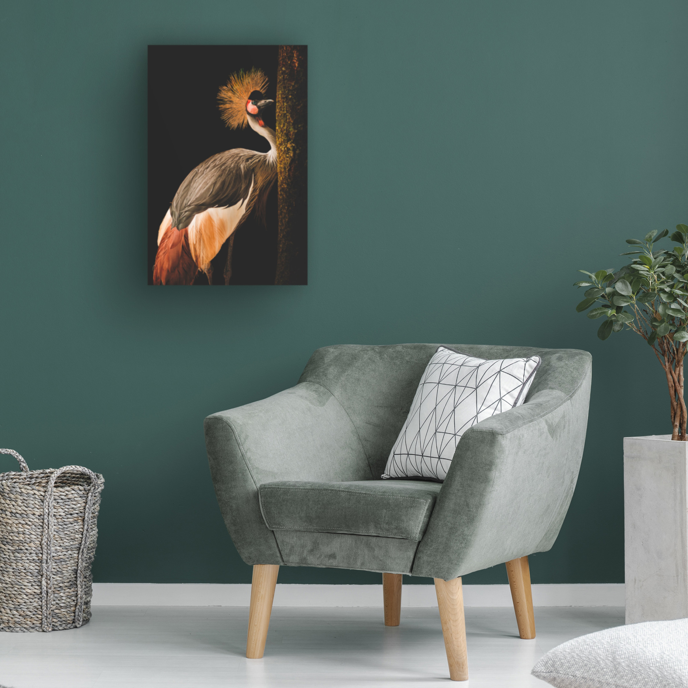 Canvas Wall Art - Jealousy 'Grey Crowned Crane' Wall Art for Living Room, Bedroom, or Office Décor by Trademark Fine Art - 16 x 24 Inches