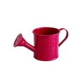 thumbnail image 2 of Vintage Wrought Iron Watering Can Decorative Vase,Multi‑Purpose Small Household Storage Container For Indoor Home Decor.Red, 2 of 6