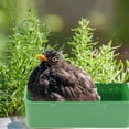 pet-products-count-10-bowl-bird-cage-feeding-dish-feeder-for-parrot