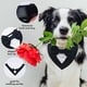 thumbnail image 5 of Bandana formal para boda para perro, collar para perro con pajarita, disfraz de cumpleaños para perro, traje de boda ajustable para fiesta de mascotas, S, 5 of 5