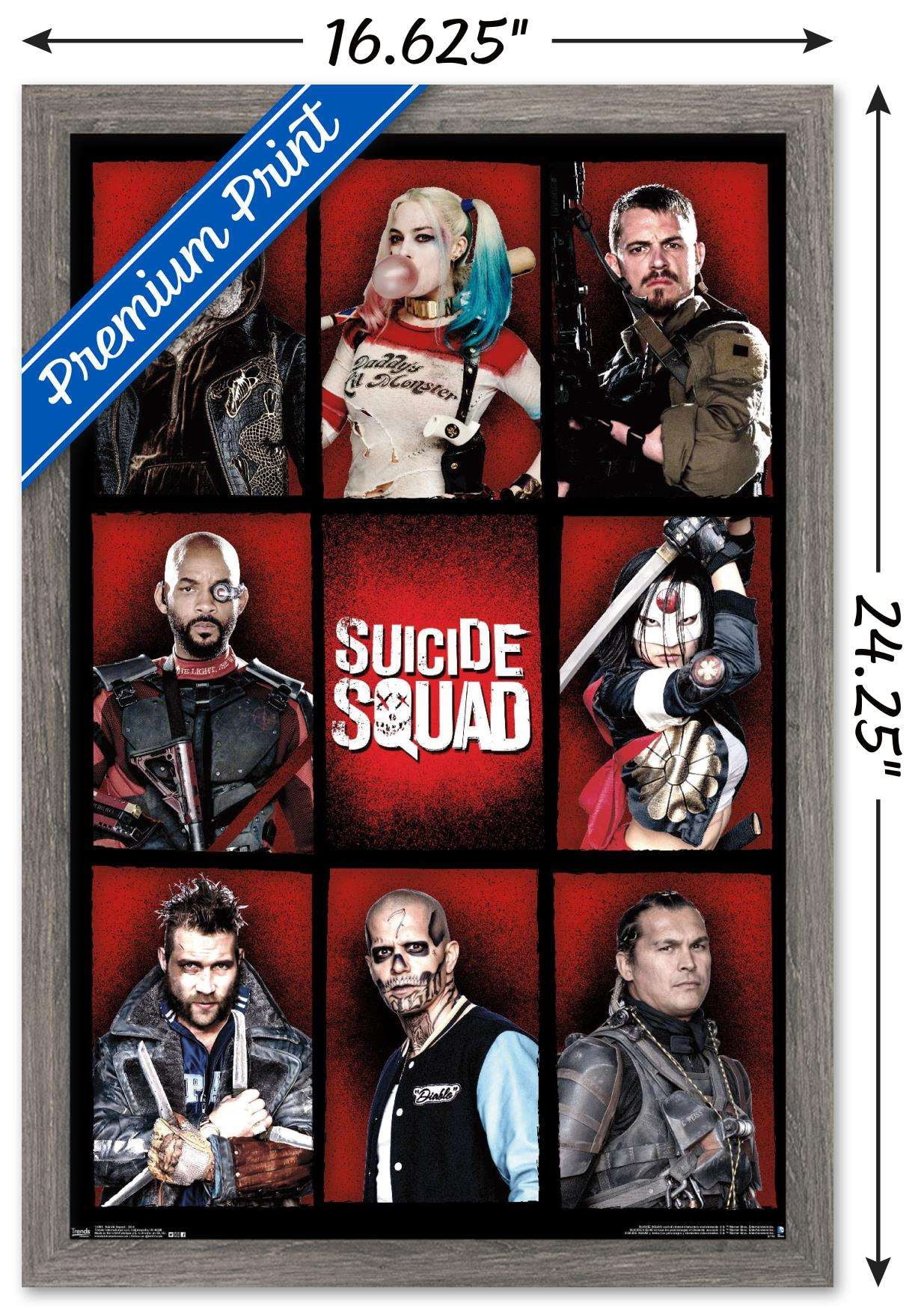 DC Comics Movie - Suicide Squad - Grid Wall Poster, 14.725" x 22.375", Framed