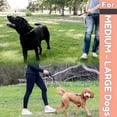 thumbnail image 4 of Correa para perros Roam Gear de 6 pies con 2 asas acolchadas para tamaños medianos y grandes, 4 of 9