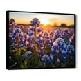 thumbnail image 2 of Designart "Blue Bonnets landscape Photo V" Floral Floater Framed Canvas Wall Art, 2 of 7