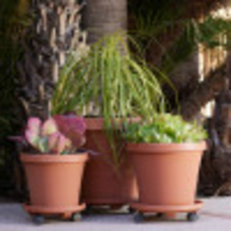 catit grass planter Catit Senses 2.0 Grass Planter – G&E Pharmacy main image 0