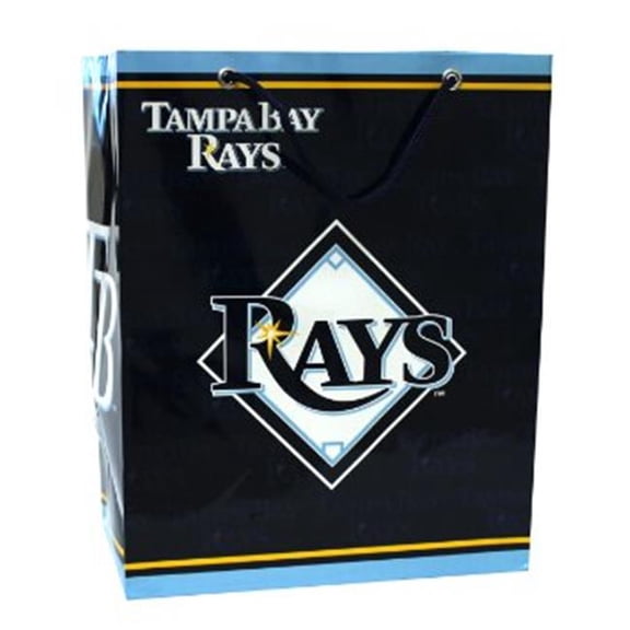 Rays Medium Gift Bag