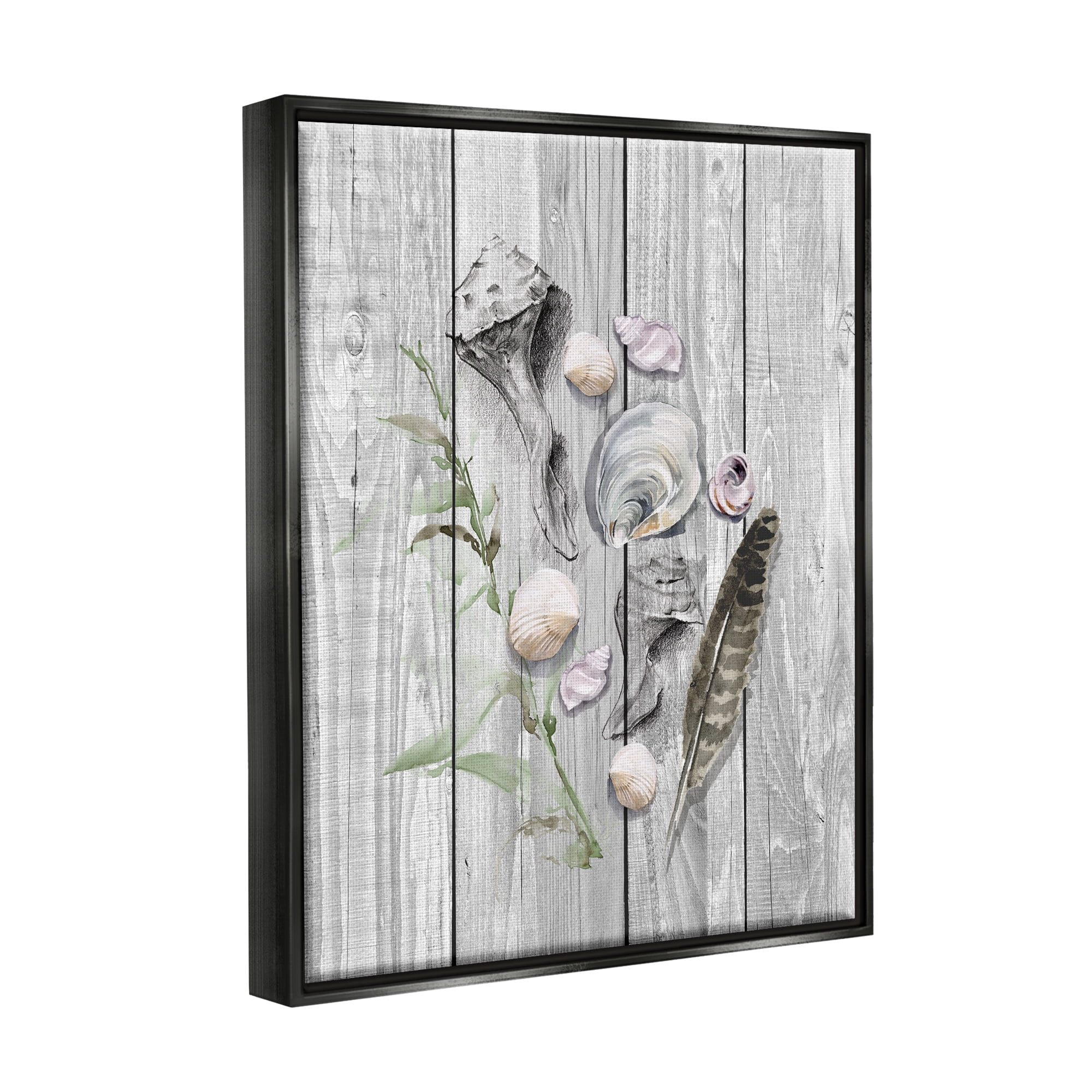 Stupell Various Sea Life Coastal Shells Landscape Painting Black Floater Framed Art Print Wall Art