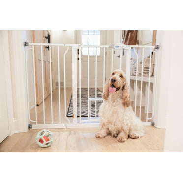 Carlson Extra Wide White Walk-Thru Pet Gate, 30" H x 29"-51" W, with Lift Handle and Small Pet Door