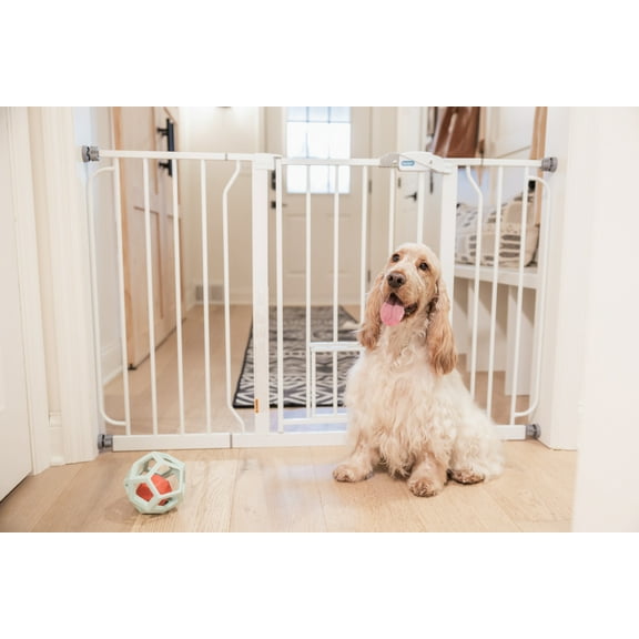 Carlson White Metal Walk-Thru Pet Gate with Lift Handle and Pet Door, 30" H x 29"-51" W
