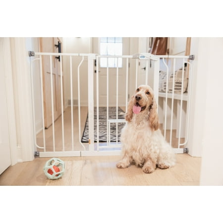 Carlson Extra Wide White Walk-Thru Pet Gate, 30" H x 29"-51" W, with Lift Handle and Small Pet Door