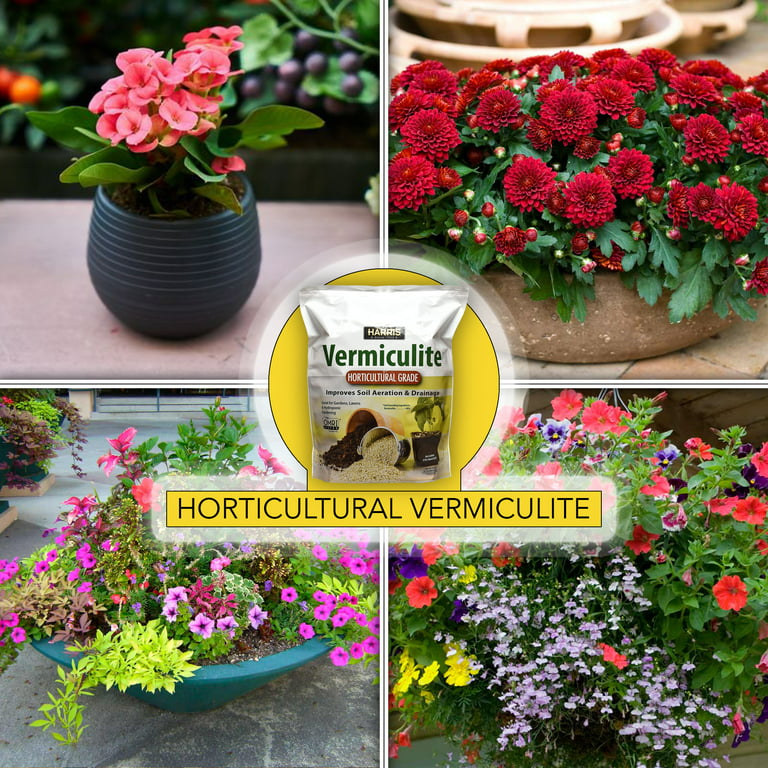 Gardening With Vermiculite - Vermiculite Uses And Information