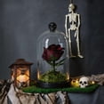 thumbnail image 2 of Clear Dome with Rose Decoration, Multicolor, 7.25", Halloween by Way To Celebrate, 2 of 4