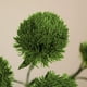 thumbnail image 5 of Simulación de plantas verdes, claveles verdes, bolas de pelo verdes, decoración para hoteles y casas, flores artificiales, materiales florales para paisajismo., 5 of 5