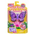 thumbnail image 1 of Little Live Pets Lil' Butterfly Single Pack - Star Wings, 1 of 2